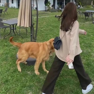 三看御妹刘金定